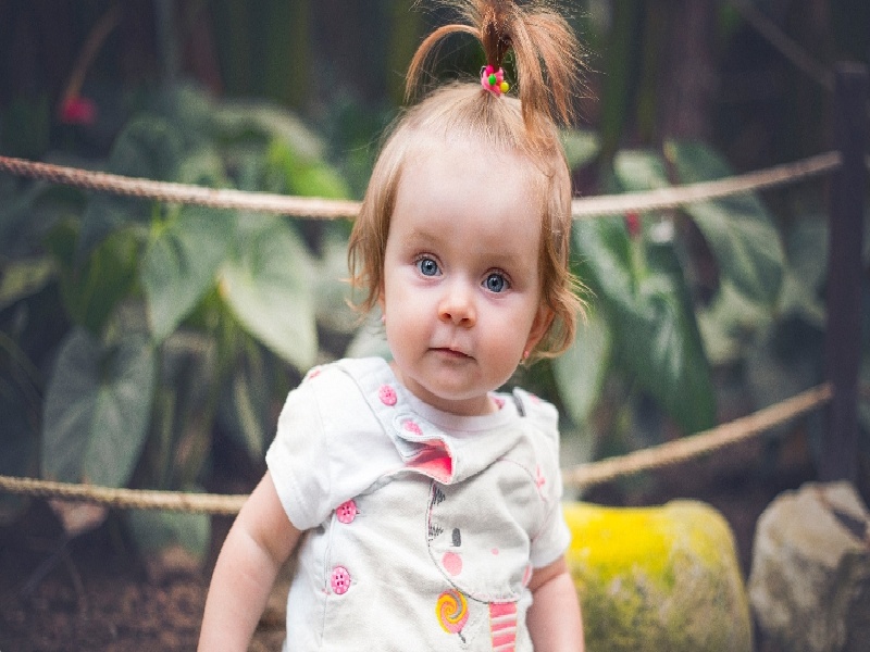 试管单用ng方案（试管前男禁欲）